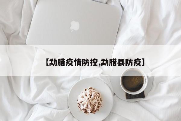 【勐腊疫情防控,勐腊县防疫】